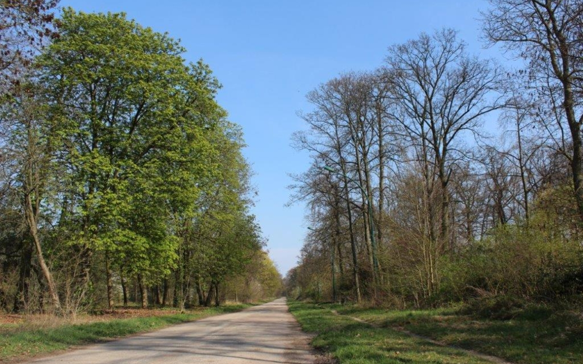Bois de vincennes12 ème© pascalbonneau