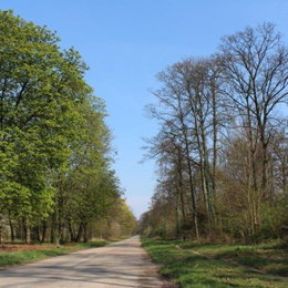 La nature au bois de Vincennes
