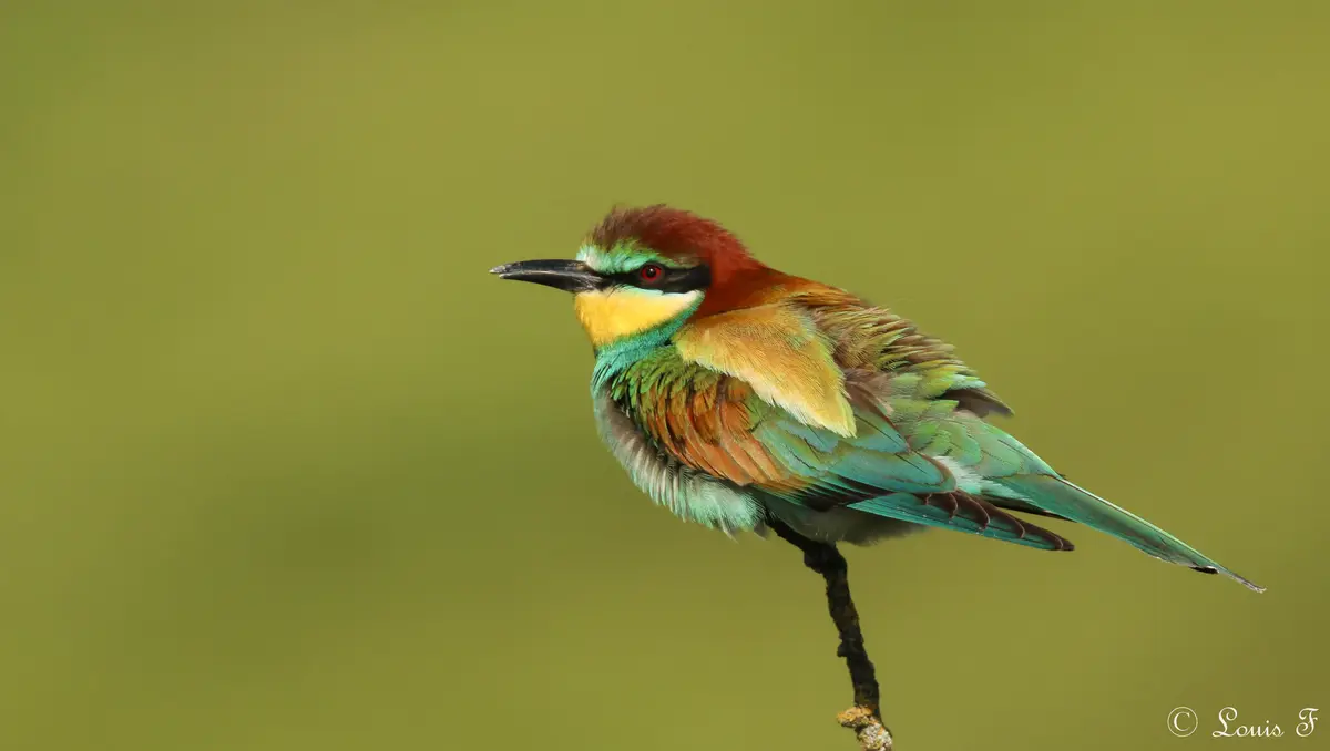 La Nature Au Fil Des Saisons