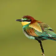 La Nature Au Fil Des Saisons