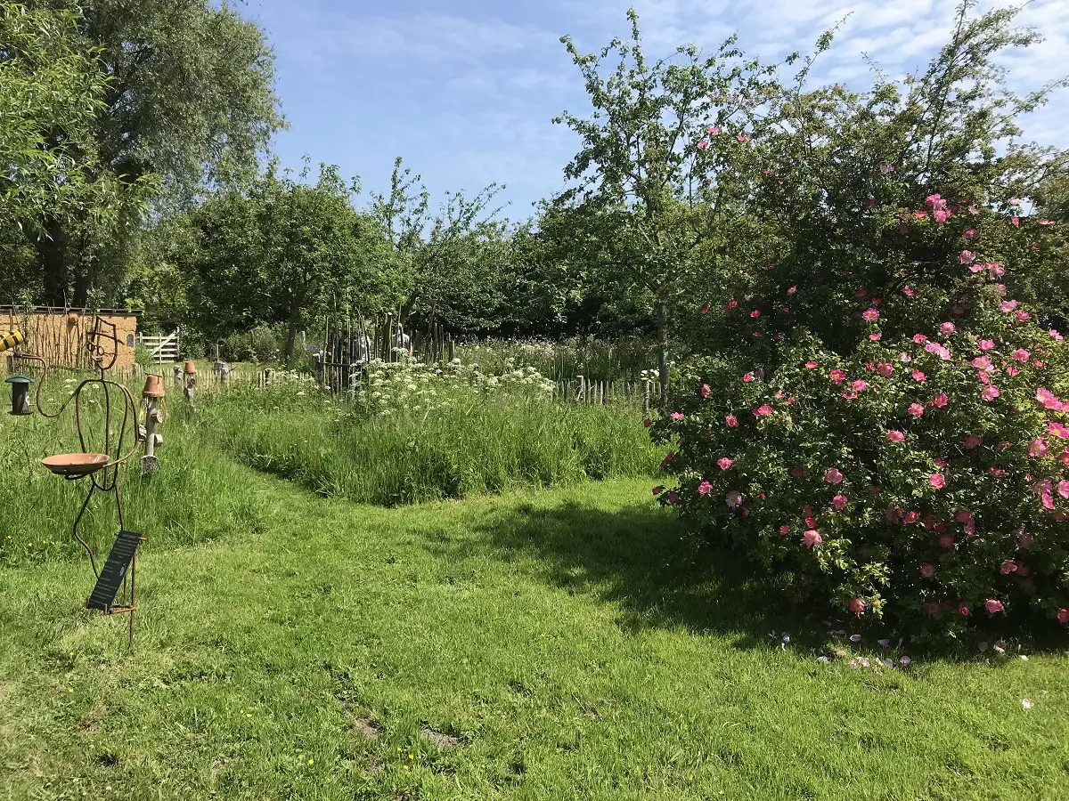 La nature dans tous les sens