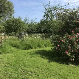 La nature dans tous les sens