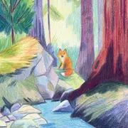 La nature en couleurs de Baptiste Puaud