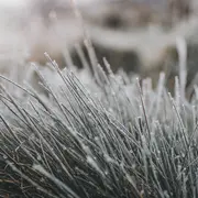 La nature en hiver, à la réserve départementale de biodiversité d'Argentat