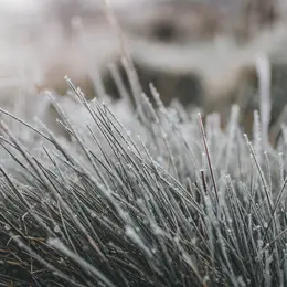 La nature en hiver, à la réserve départementale de biodiversité d'Argentat