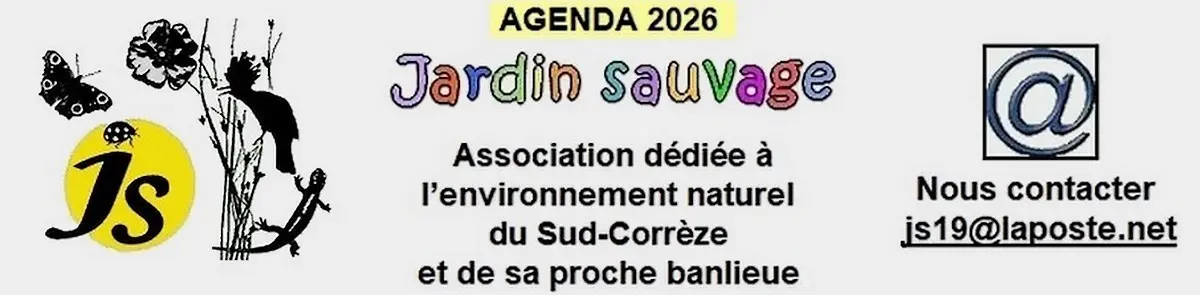 La Nature face au changement climatique (Jardin sauvage)