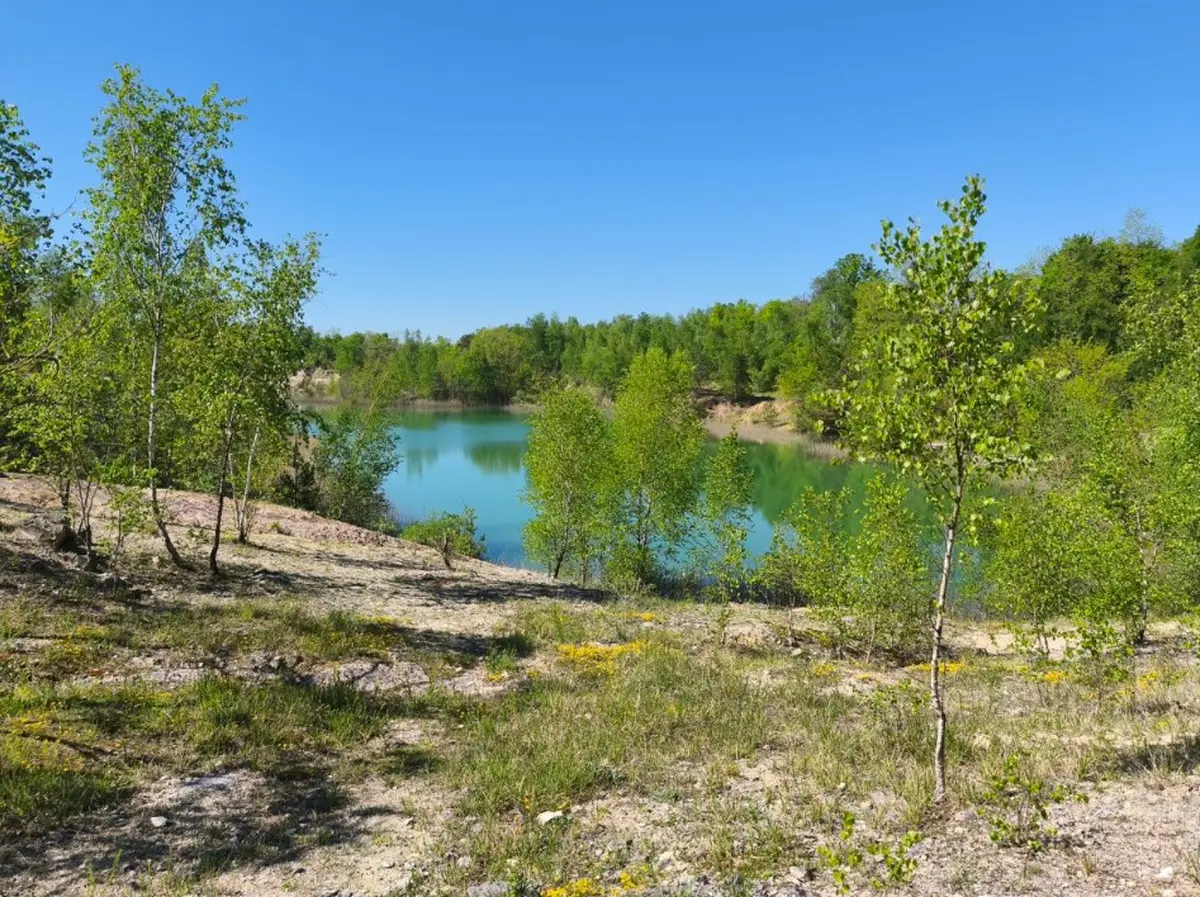 'La Nature fête ses 20 ans !', à La Saulsotte
