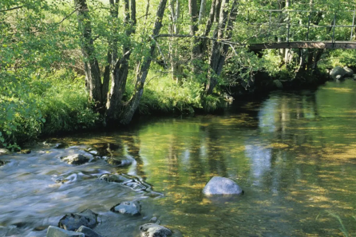 La nature intacte de la réserve de l'Ill Wald offre un réel moment de détente