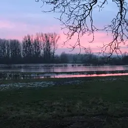 La Nature la nuit