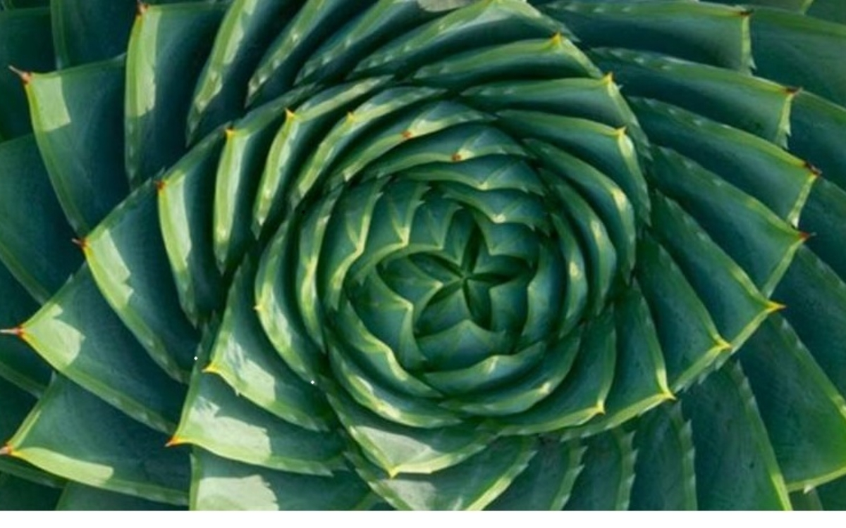 la nature modèle scientifique