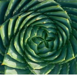 la nature modèle scientifique