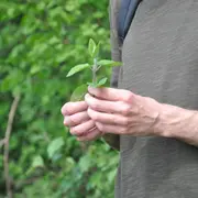 La nature nourricière