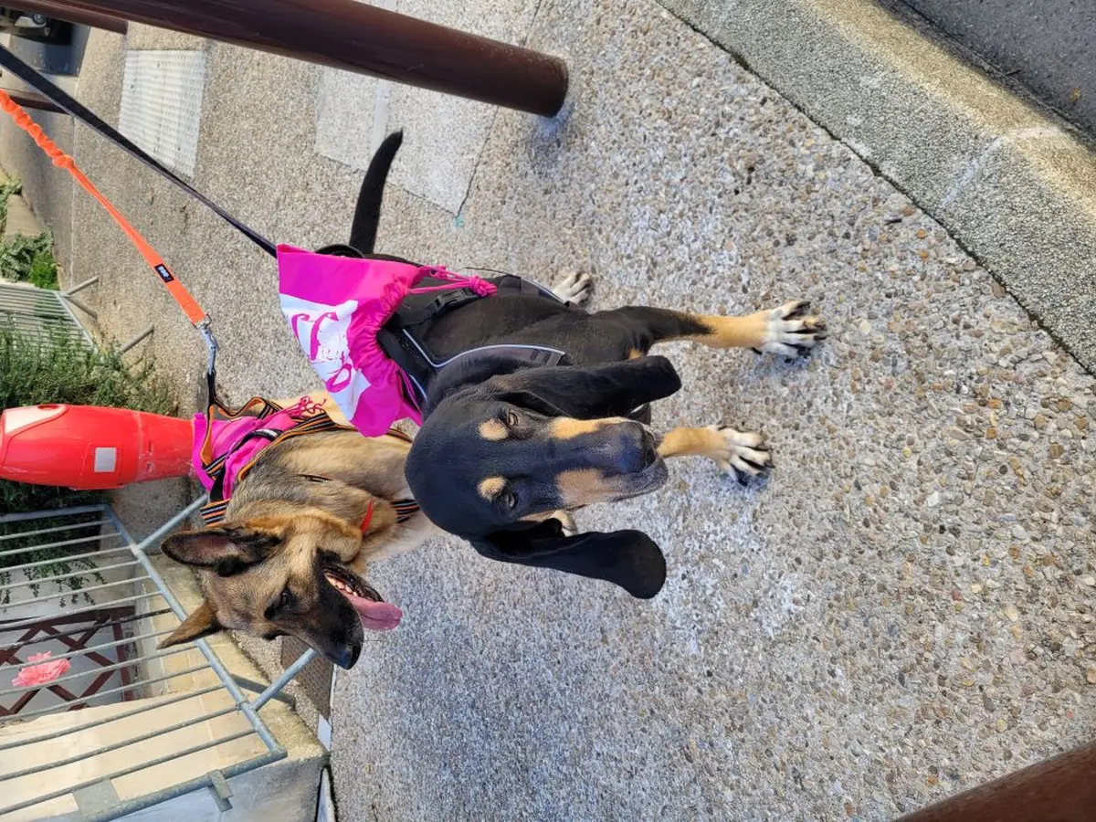 La Neuvic'Rose - Octobre Rose