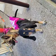 La Neuvic'Rose - Octobre Rose