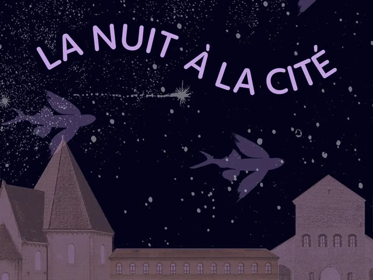 La Nuit à la Cité