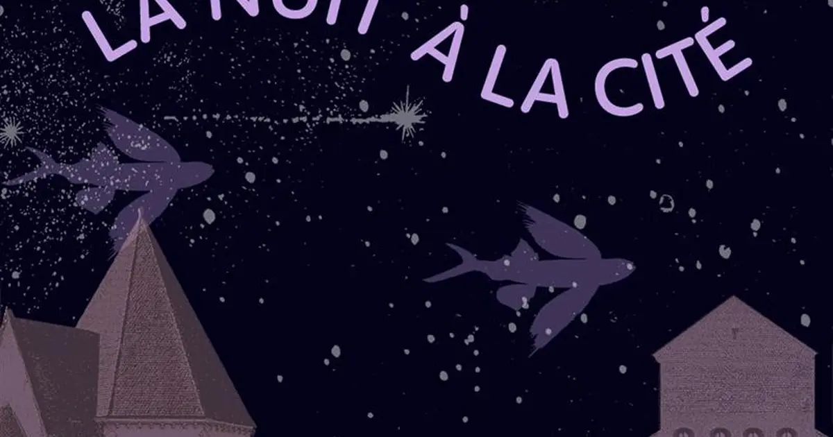 La Nuit à la Cité