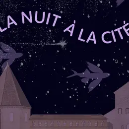 La Nuit à la Cité