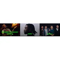 La Nuit de l'Erdre 2026 &copy; Capture d'écran du site La Nuit de l'Erdre 2026