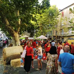 La Nuit de la Tomate