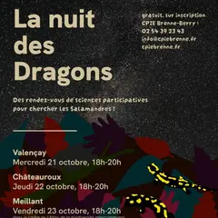 La nuit des dragons