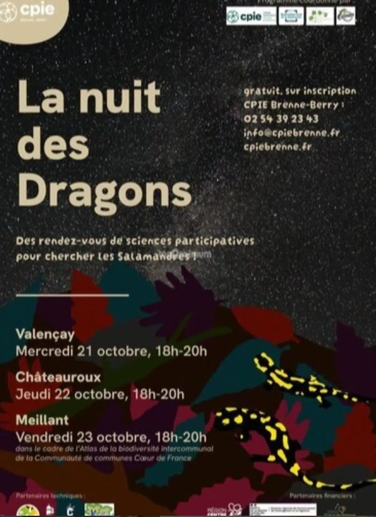 La nuit des dragons