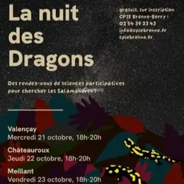 La nuit des dragons
