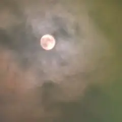 La nuit des étoiles