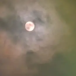 La nuit des étoiles