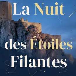 La Nuit Des étoiles Filantes Au Château De Quéribus