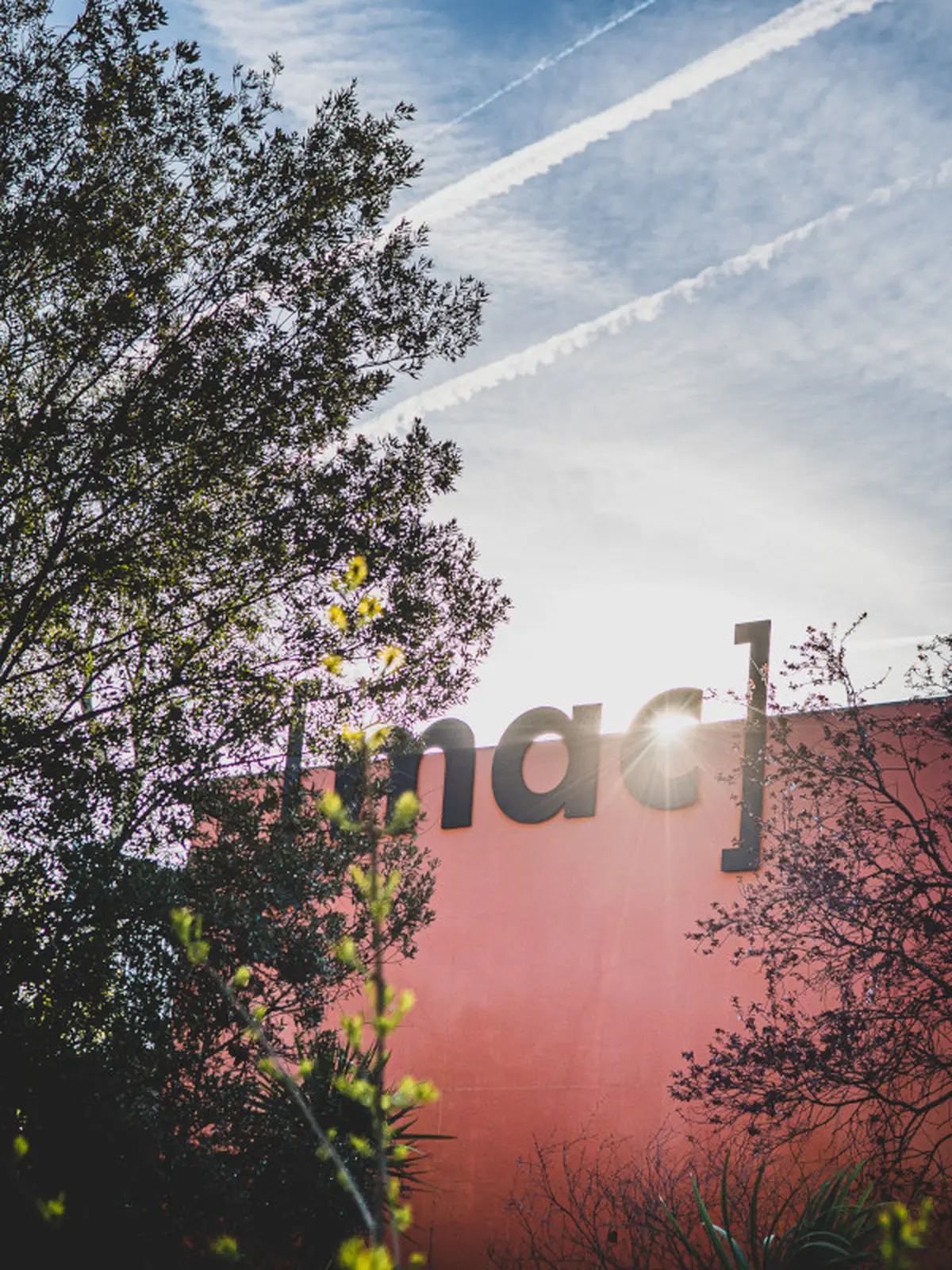 La Nuit des musées au [mac]