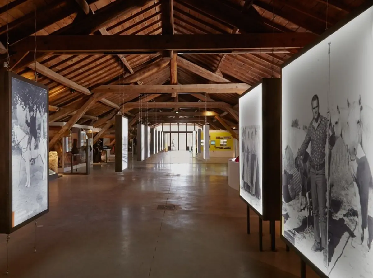 La Nuit des Musées au Musée de la Camargue