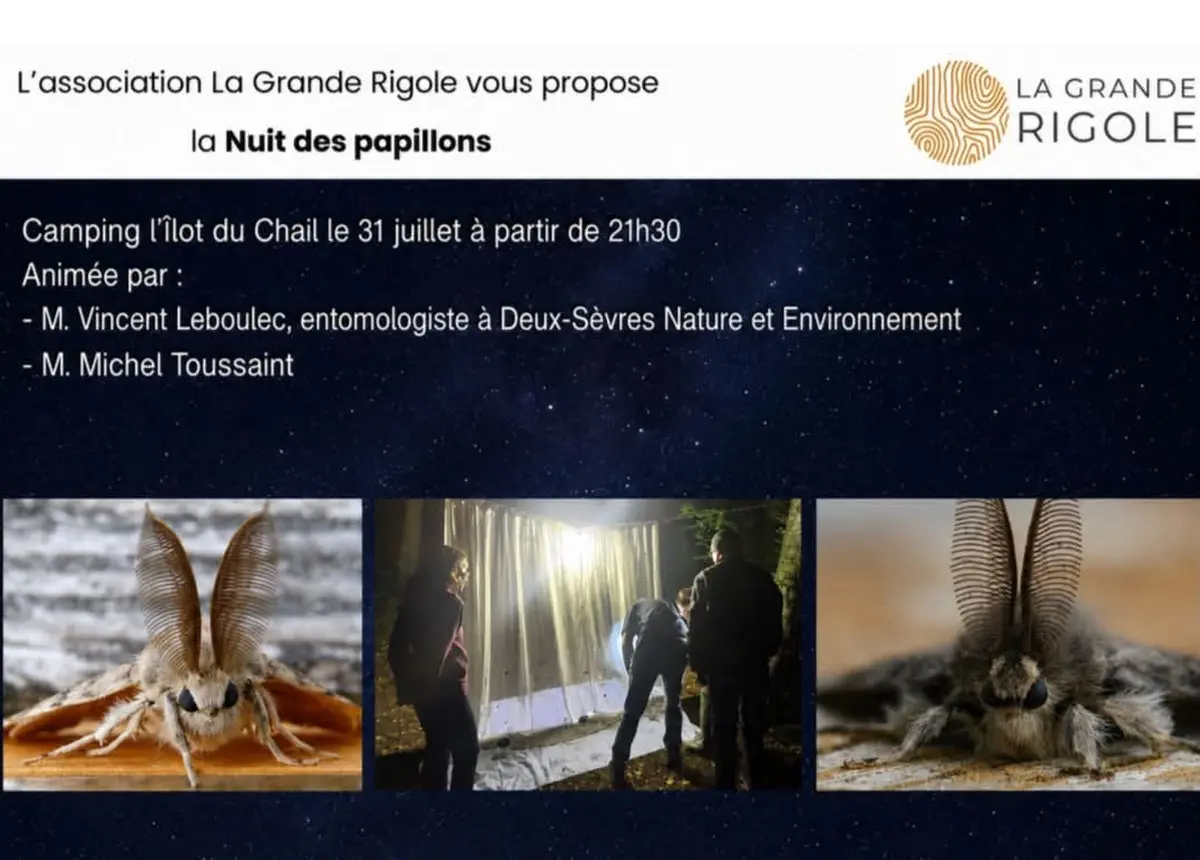 La Nuit des Papillons à La Garette