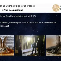 La Nuit des Papillons à La Garette
