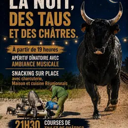 La nuit des Taus et des Châtres