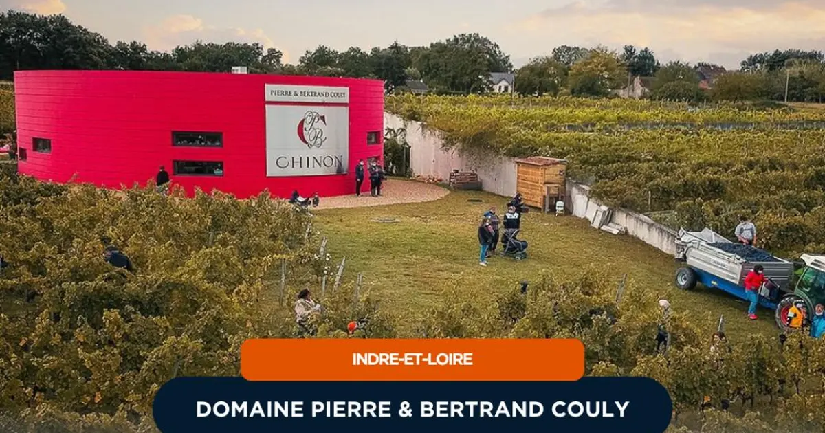La Nuit des Vignes au domaine Pierre & Bertrand Couly à Chinon