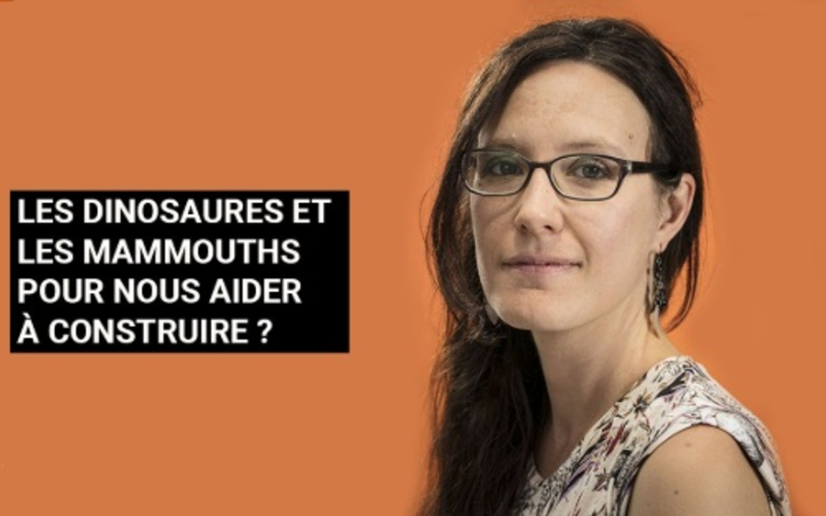 La paléo-bioinspiration : quand les fossiles inspirent le futur