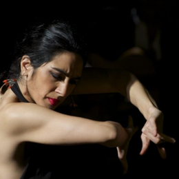 La Parada Flamenca | Danse flamenco
