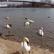 Escapade aux 3 frontières, au fil de l'eau