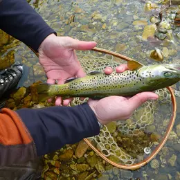 La Pêche Aux Leurres En Embarcation