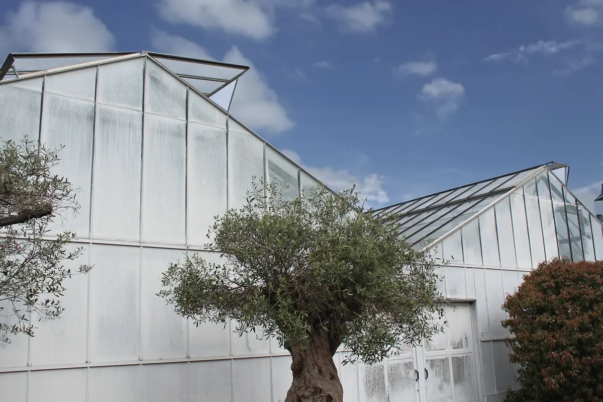 La pépinière de Mulhouse