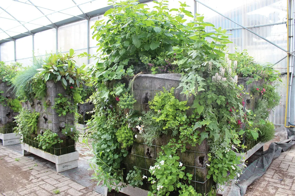 La pépinière de Mulhouse