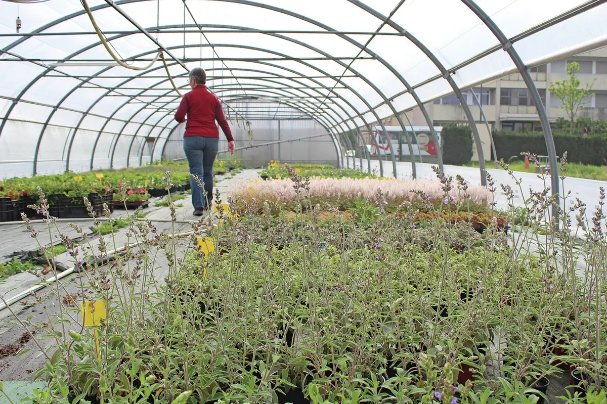 La pépinière de Mulhouse