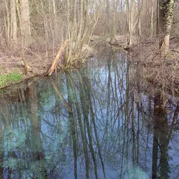 Escapade aux 3 frontières, au fil de l'eau