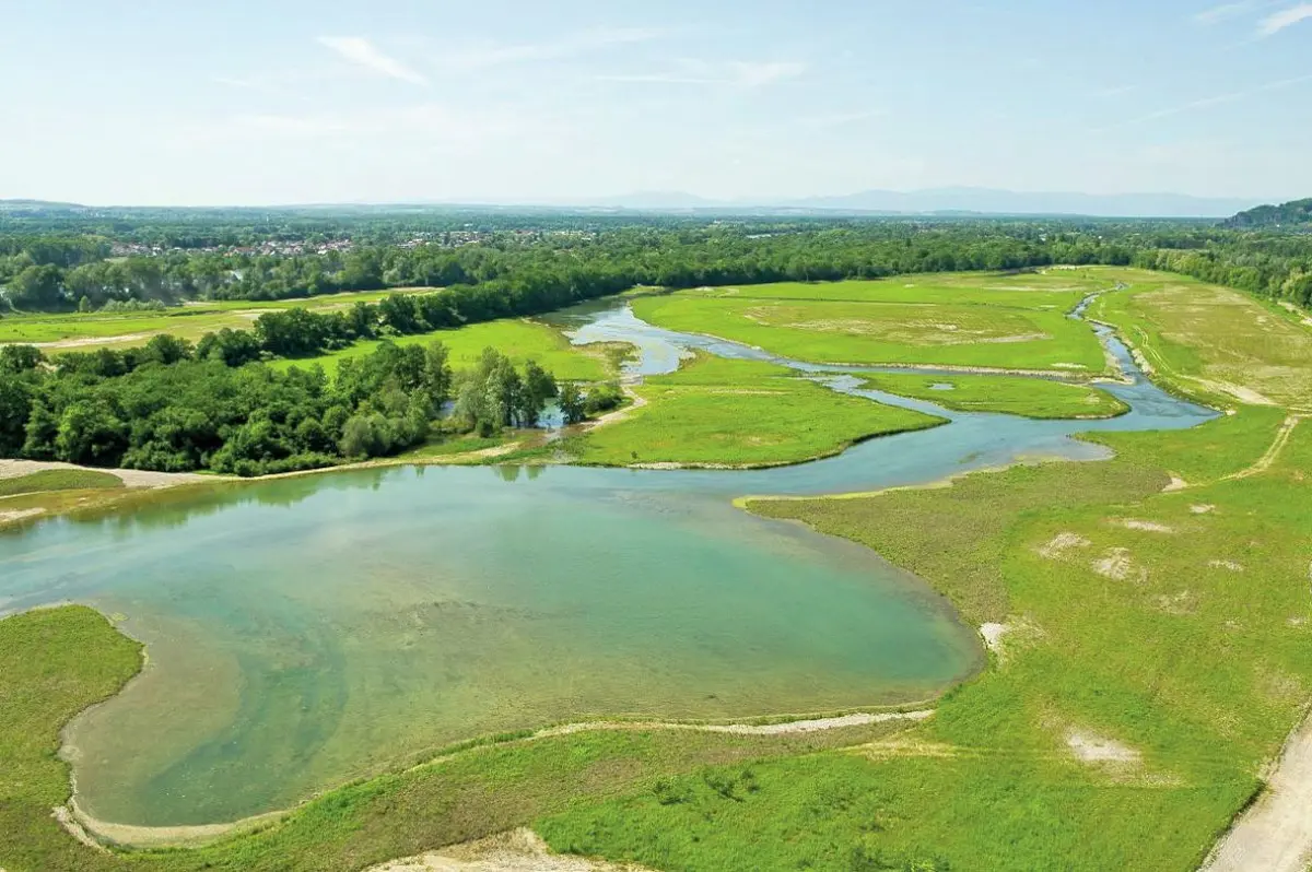 La Petite Camargue Alsacienne
