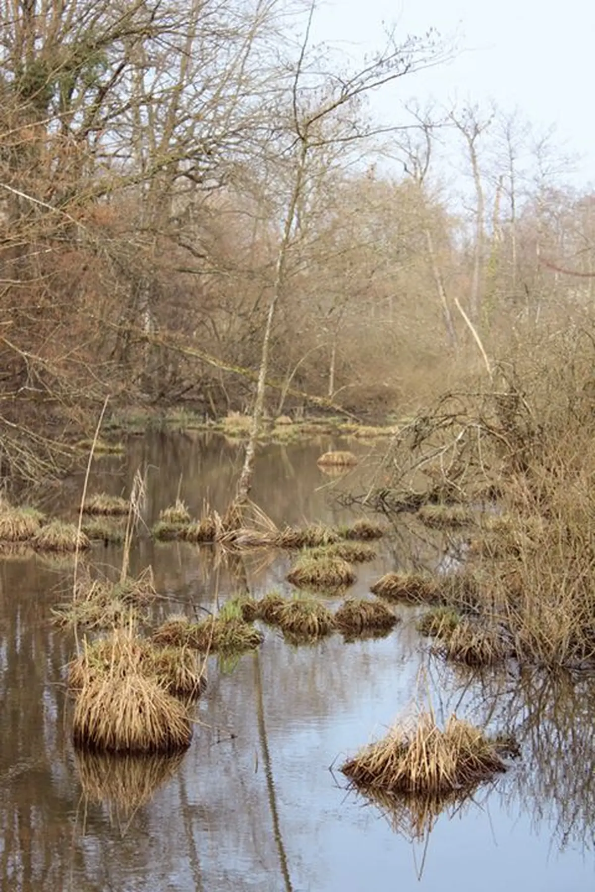 Une réserve protégée