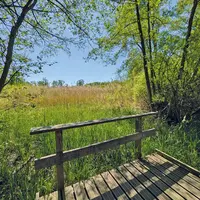 La Petite Camargue Alsacienne : et si on allait s'y promener ? DR