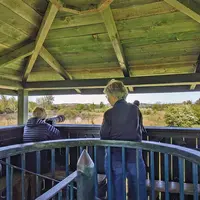 La Petite Camargue Alsacienne : et si on allait s'y promener ? DR