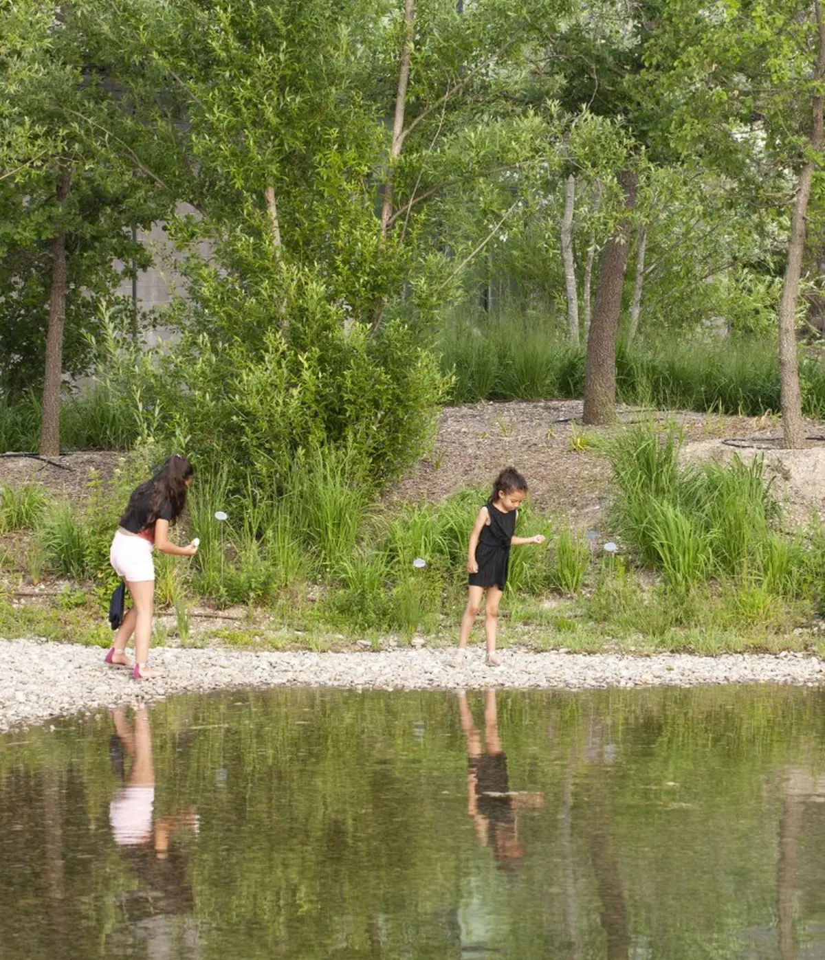 La petite visite : Quand je serai graine grande