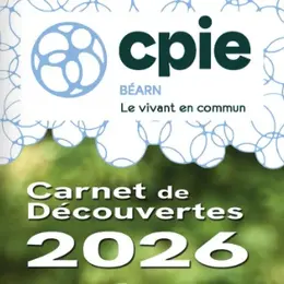 La phytoépuration - Sortie CPIE