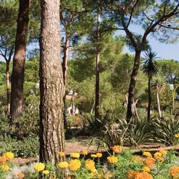 La Pinède Gould de Juan-les-Pins : une programmation estivale entre sport, musique et humour
